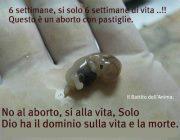 aborto2 aborto2