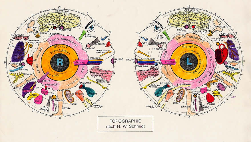 iridologia